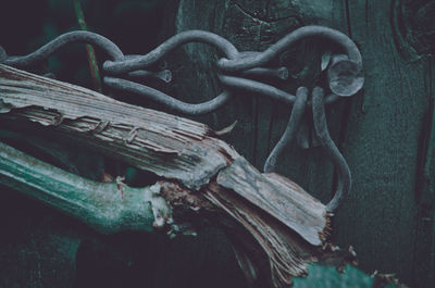 Close-up of rusty metal chain on wood