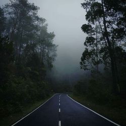 Empty road amidst trees in forest