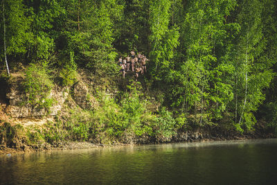 Scenic view of lake in forest