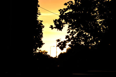 Silhouette trees against sky during sunset