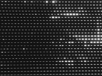 Full frame shot of tiled wall