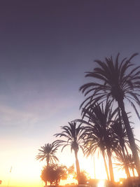 Silhouette palm trees against sky during sunset