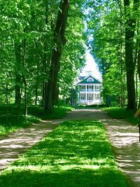 Footpath amidst trees and buildings