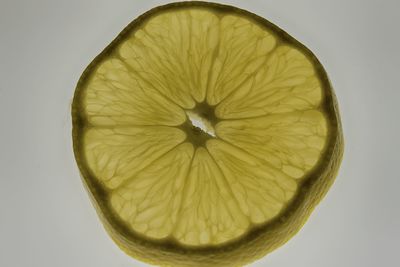 Close-up of lemon slice against white background