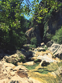 Scenic view of waterfall in forest