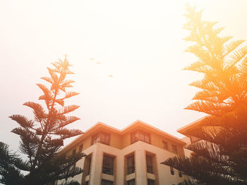 Low angle view of palm trees and building against sky