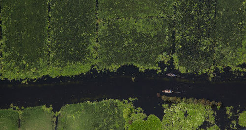 Aerial view of boats moving on lake amidst trees in forest