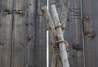 Directly above shot of plants on wooden table
