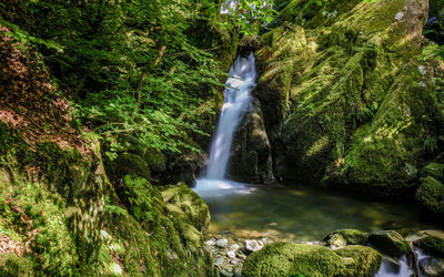 Scenic view of waterfall