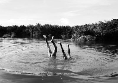 People swimming in lake against sky