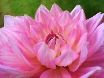 fragility