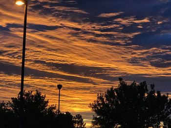 Silhouette trees on landscape against sky at sunset