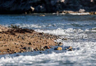 Scenic view of sea shore