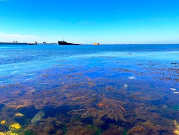 Scenic view of sea against clear blue sky