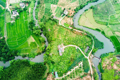 Aerial view of green landscape