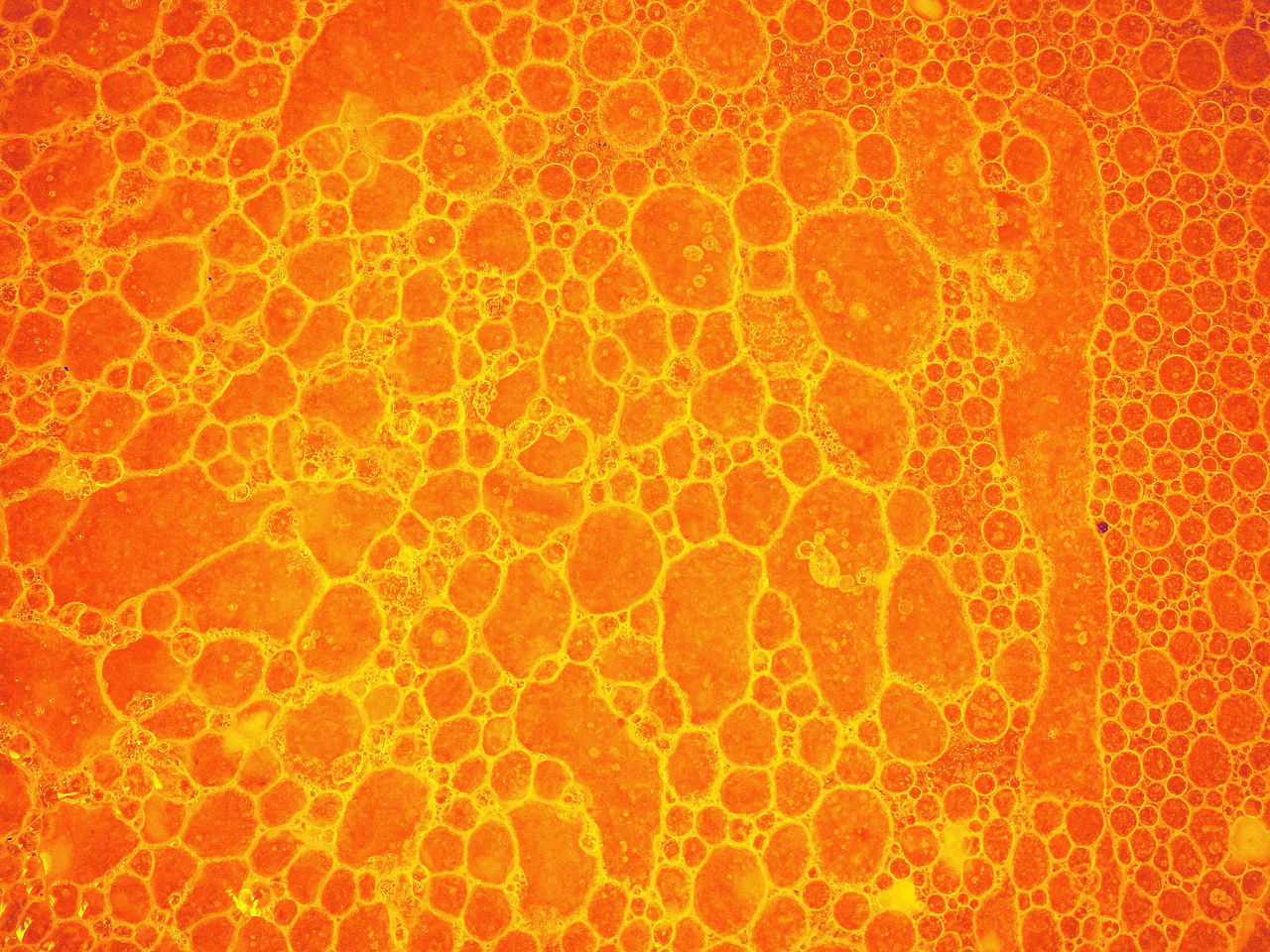 FULL FRAME SHOT OF ORANGE PATTERN