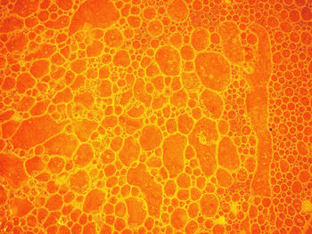 Full frame shot of orange abstract background