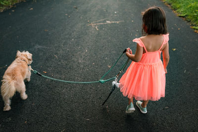 Little girl in orange dress walks dog from behind