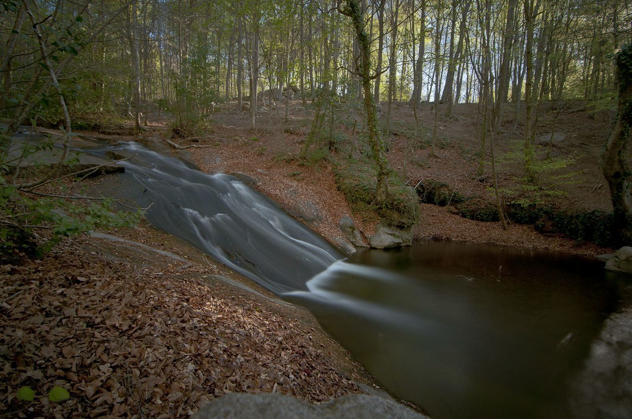 water, stream, flowing water, tree, flowing, high angle view, nature, river, tranquility, motion, pond, beauty in nature, plant, reflection, forest, day, outdoors, rock - object, waterfall, scenics