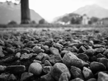 Close-up of stones on land