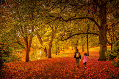 Rear view of people walking in forest during autumn