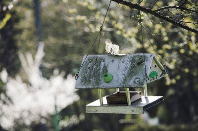 Close-up of birdhouse on tree