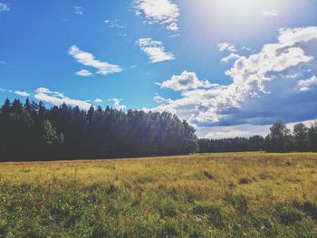 Scenic view of field against sky