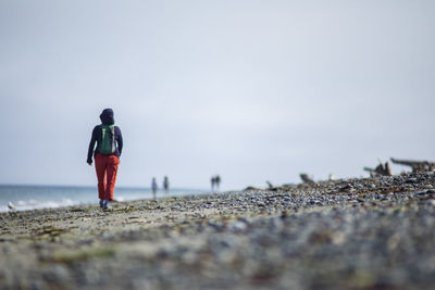 Rear view of man walking on beach