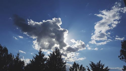 Low angle view of silhouette trees against sky