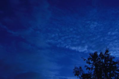 Low angle view of silhouette trees against cloudy sky