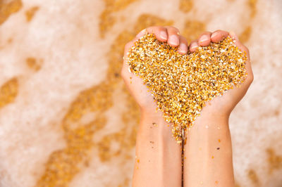 Soft heart shapes of women's hands over the beach. women's hands hold sand in the shape of a heart