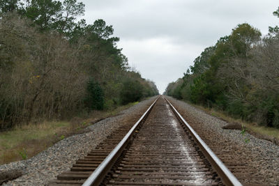 Railroad tracks amidst trees against sky