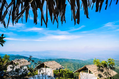 Scenic view of palm trees and houses against sky