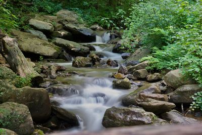 Scenic view of waterfall