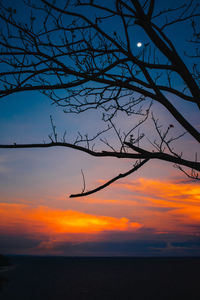 Silhouette bare tree against sky during sunset
