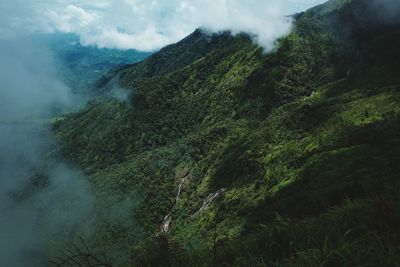 Plants growing on land against sky