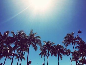 Low angle view of coconut palm trees against sky