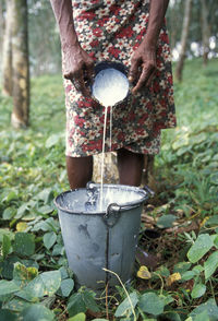 Low section of woman pouring sap in bucket from bowl on field