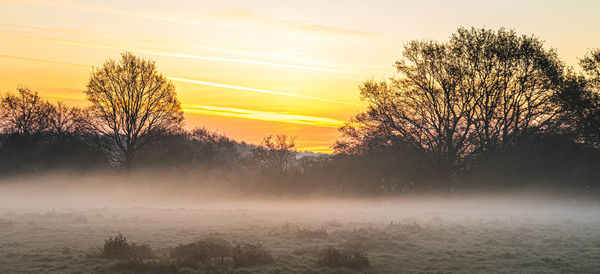 Silhouette trees on landscape against sky during sunset