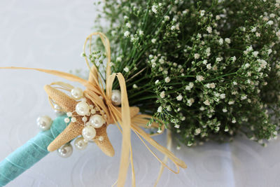 Close-up of white flowering plants on table