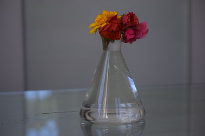 Close-up of flower vase on table