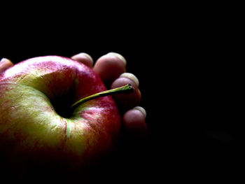 Close-up of hand holding apple
