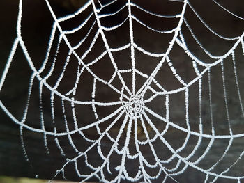 Full frame shot of spider web