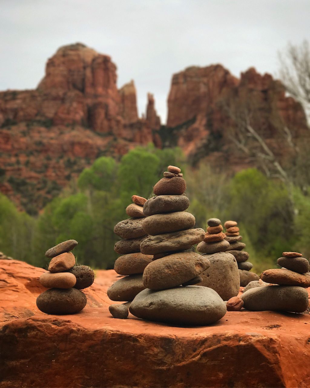 stack, tree, mountain, rock - object, no people, sky, nature, day, outdoors, close-up, freshness