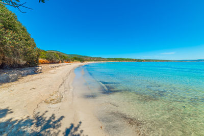 Scenic view of beach against clear blue sky