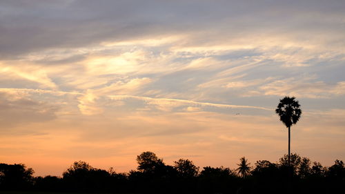 Low angle view of silhouette trees against sky during sunset