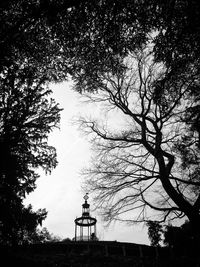 Low angle view of trees in city