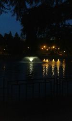 Reflection of trees in lake