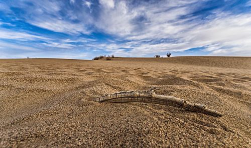 Scenic view of desert against sky