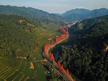High angle view of agricultural field against sky